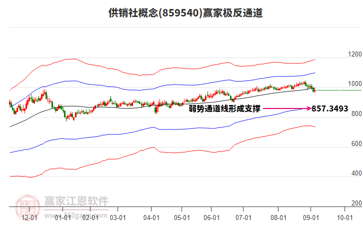 859540供銷社贏家極反通道工具 859540供銷社贏家極反通道工具