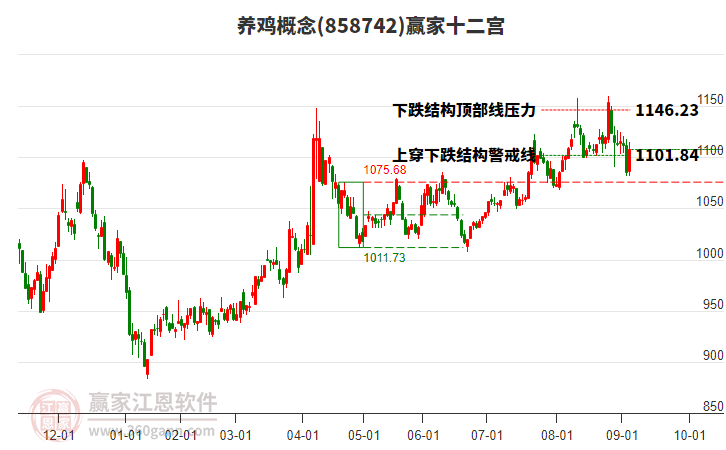 858742養(yǎng)雞贏家十二宮工具 858742養(yǎng)雞贏家十二宮工具