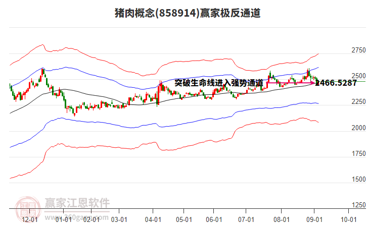 858914豬肉贏家極反通道工具