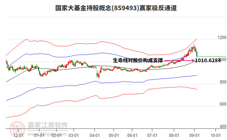 859493國(guó)家大基金持股贏家極反通道工具
