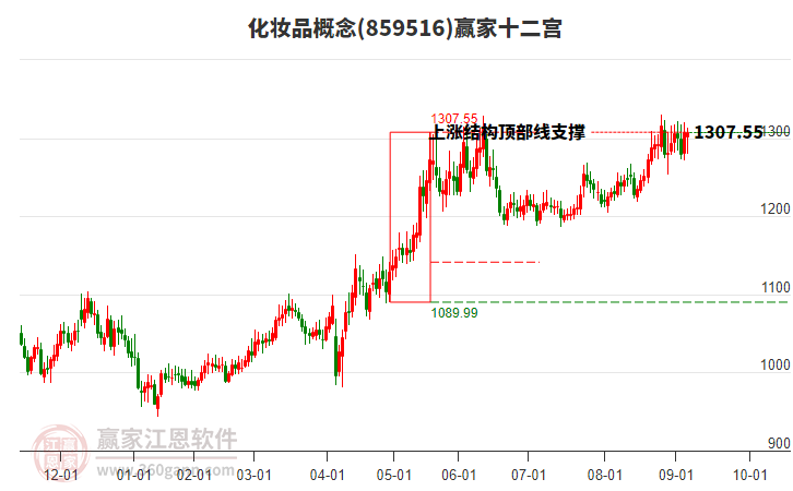 859516化妆品赢家十二宫工具