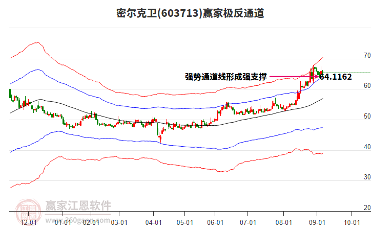 603713密爾克衛(wèi)贏家極反通道工具