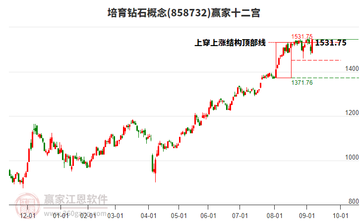 858732培育鉆石贏家十二宮工具 858732培育鉆石贏家十二宮工具