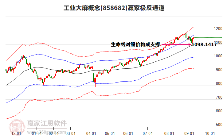 858682工業(yè)大麻贏家極反通道工具