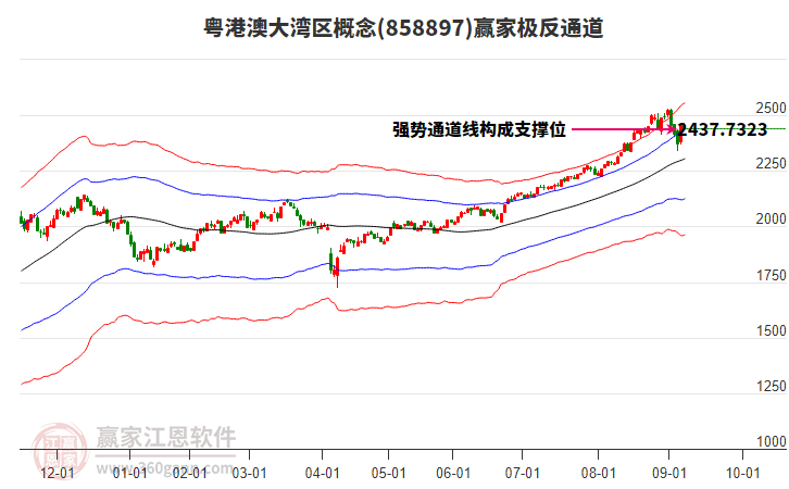 858897粵港澳大灣區(qū)贏家極反通道工具