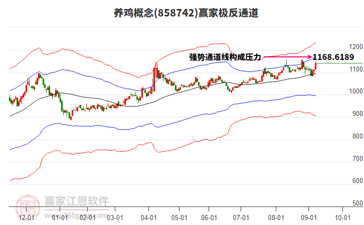 858742養(yǎng)雞贏家極反通道工具