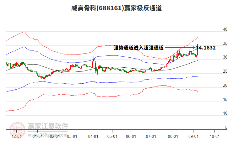 688161威高骨科贏家極反通道工具