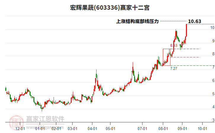 603336宏輝果蔬贏家十二宮工具