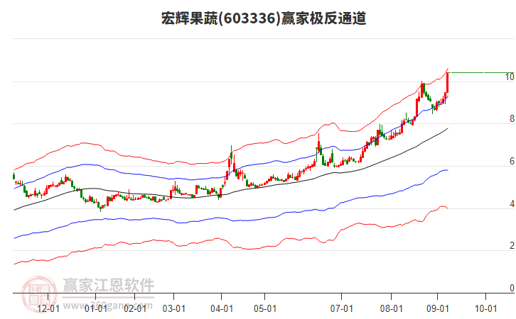 603336宏輝果蔬贏家極反通道工具