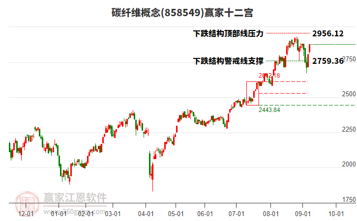 858549碳纖維贏家十二宮工具