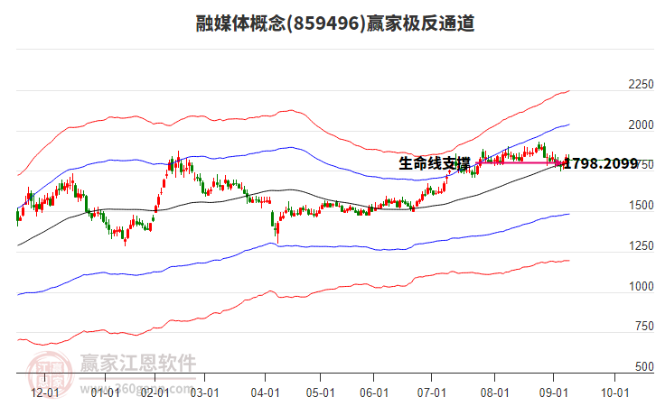 859496融媒體贏家極反通道工具