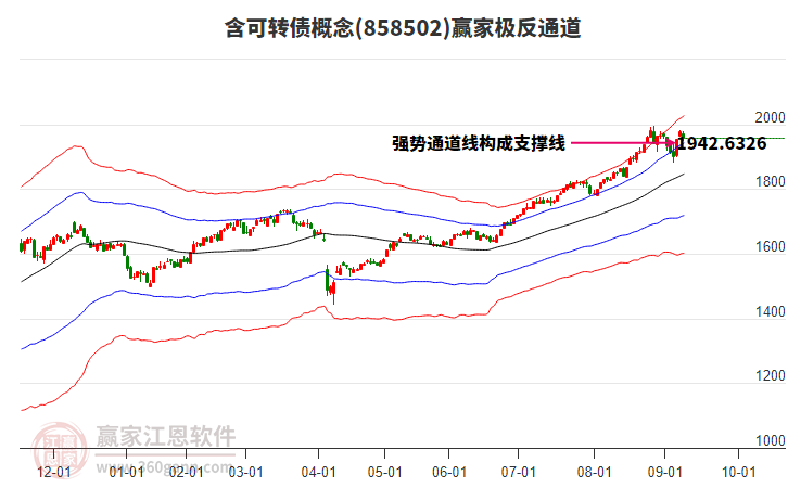 858502含可轉(zhuǎn)債贏家極反通道工具