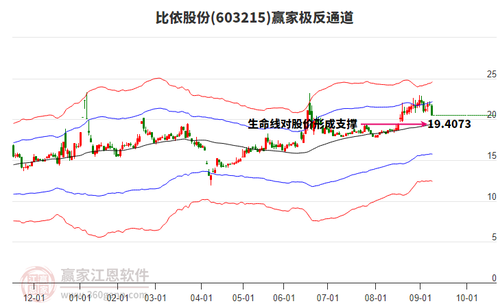 603215比依股份贏家極反通道工具