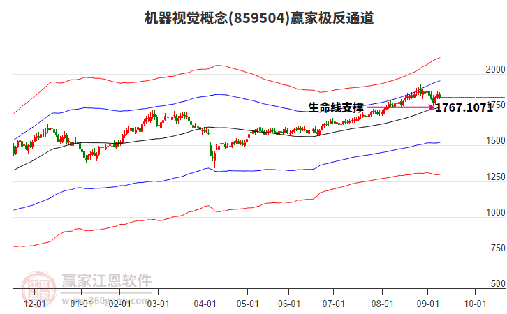 859504機(jī)器視覺贏家極反通道工具
