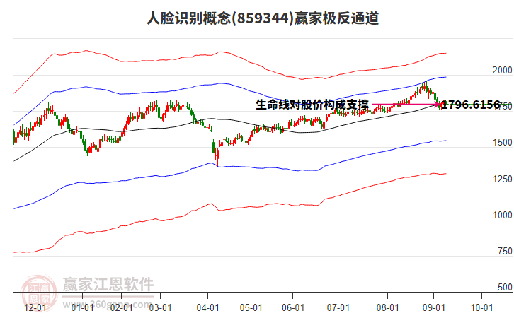 859344人臉識別贏家極反通道工具