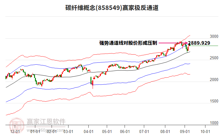 858549碳纖維贏家極反通道工具