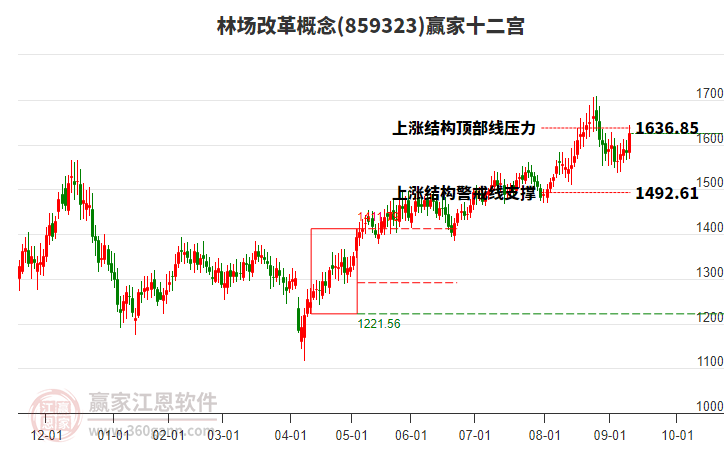 859323林場改革贏家十二宮工具