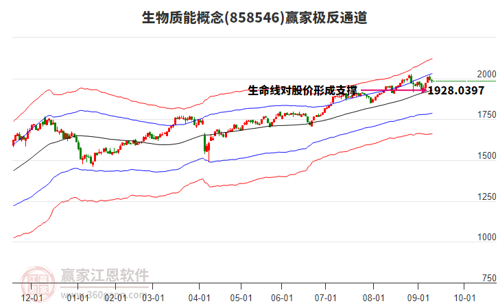858546生物質能贏家極反通道工具