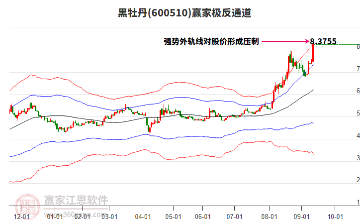 600510黑牡丹贏家極反通道工具