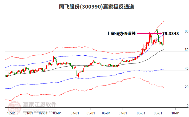 300990同飛股份贏家極反通道工具