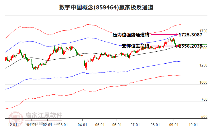 859464數(shù)字中國贏家極反通道工具