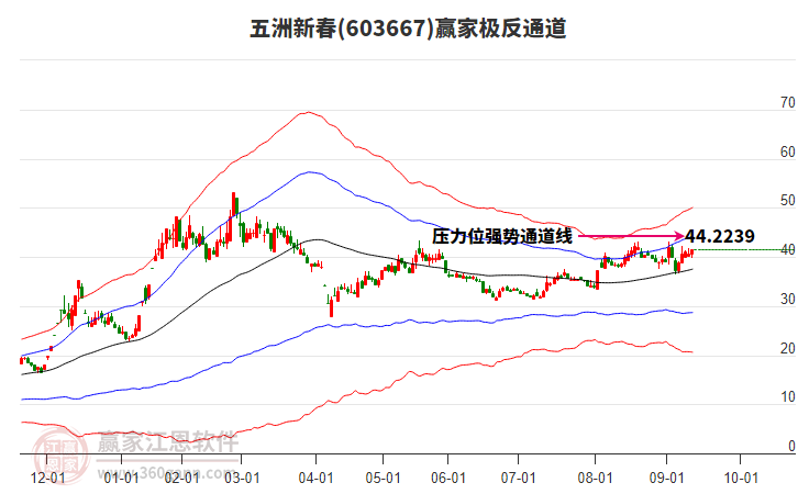 603667五洲新春贏家極反通道工具