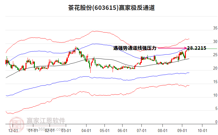 603615茶花股份贏家極反通道工具 603615茶花股份贏家極反通道工具