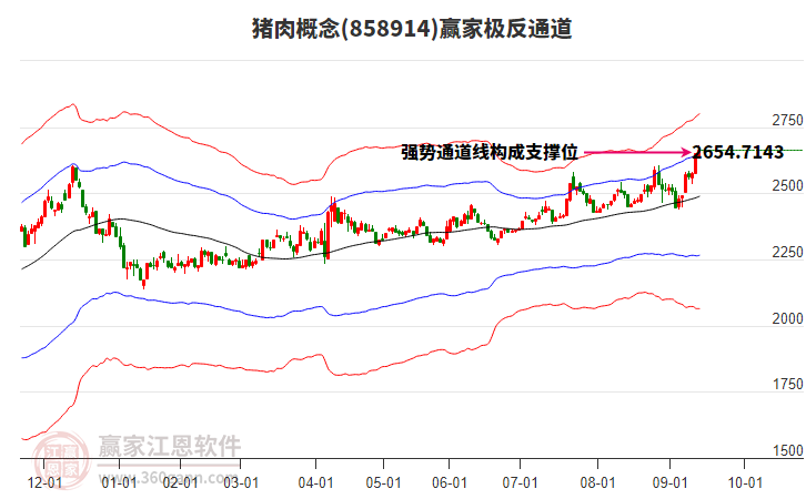 858914豬肉贏家極反通道工具