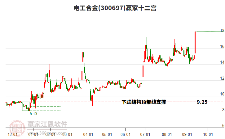 300697電工合金贏家十二宮工具
