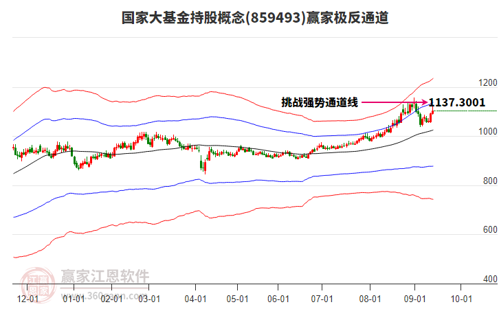 859493國(guó)家大基金持股贏家極反通道工具