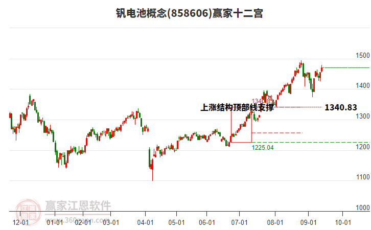 858606釩電池贏家十二宮工具 858606釩電池贏家十二宮工具