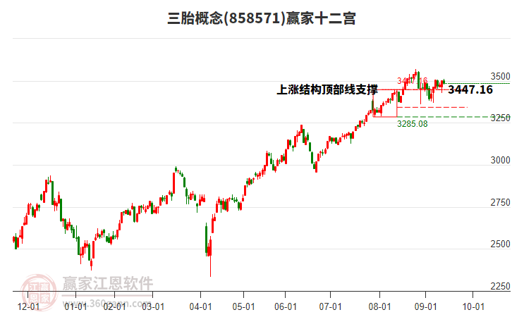 858571三胎贏家十二宮工具 858571三胎贏家十二宮工具