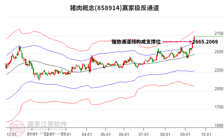 858914豬肉贏家極反通道工具