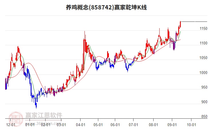 858742養(yǎng)雞贏家乾坤K線工具