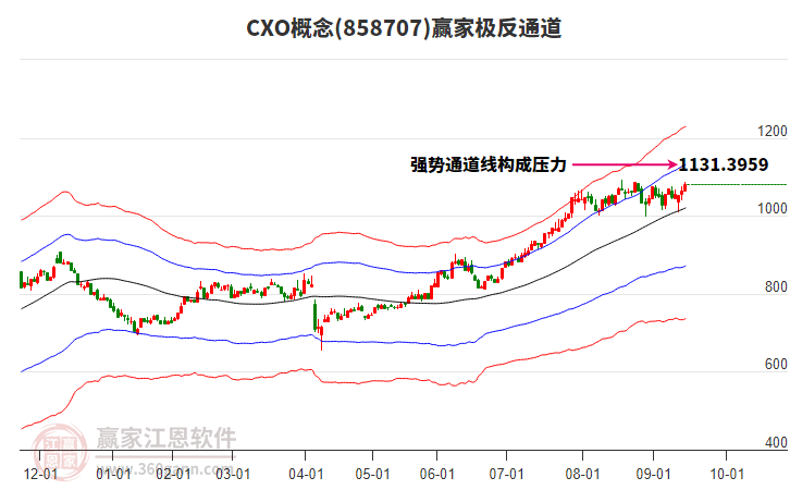 858707CXO贏家極反通道工具