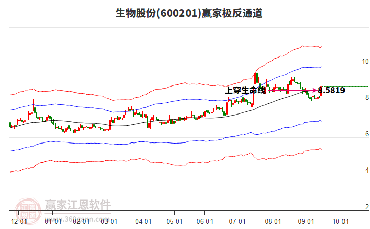600201生物股份贏家極反通道工具