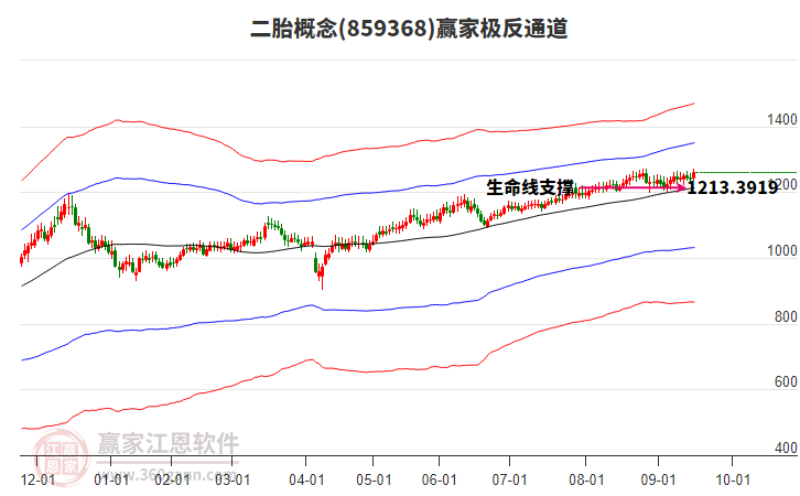 859368二胎贏家極反通道工具 859368二胎贏家極反通道工具
