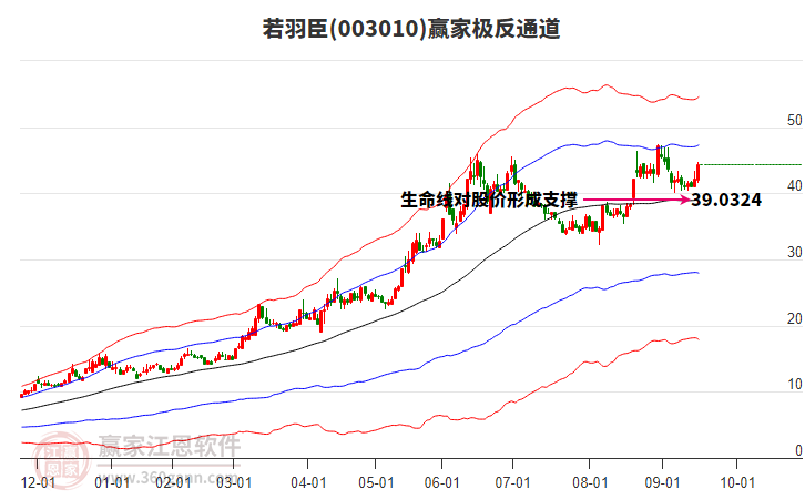 003010若羽臣贏家極反通道工具
