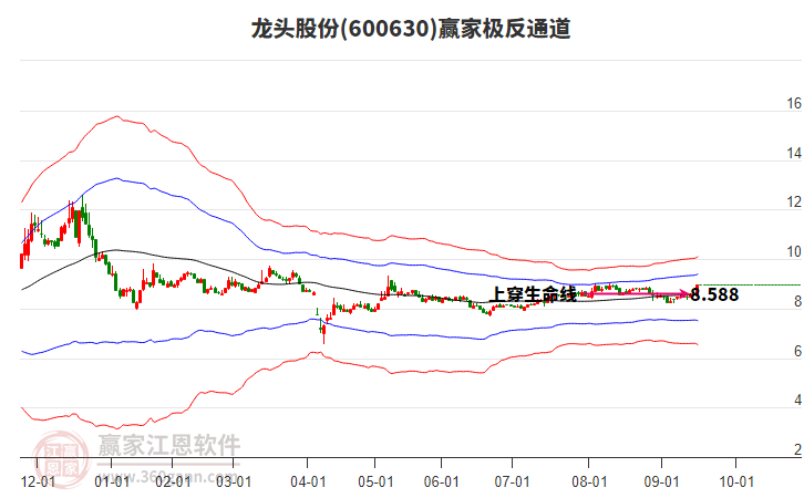 600630龍頭股份贏家極反通道工具