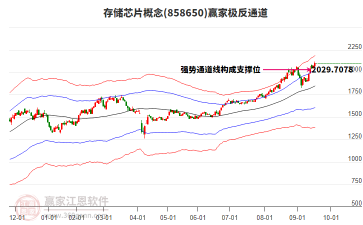 858650存儲芯片贏家極反通道工具 858650存儲芯片贏家極反通道工具