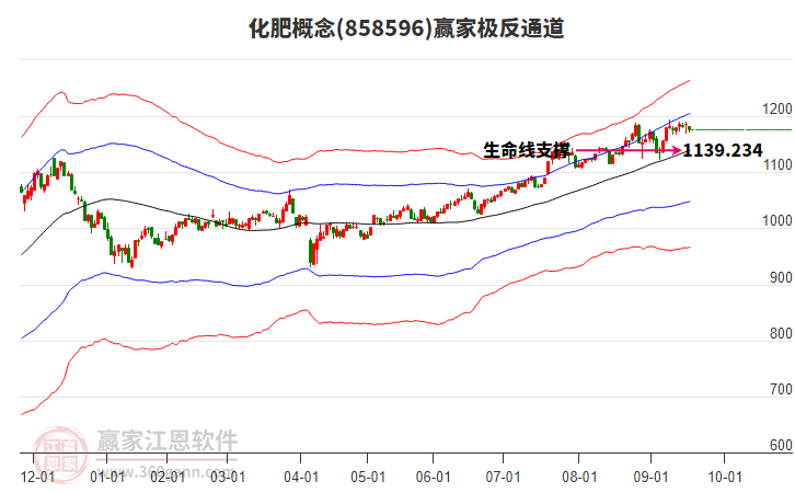 858596化肥贏家極反通道工具