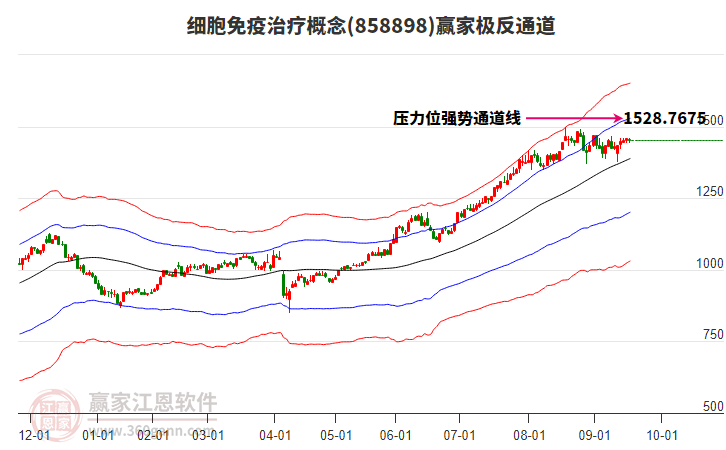 858898細(xì)胞免疫治療贏家極反通道工具 858898細(xì)胞免疫治療贏家極反通道工具