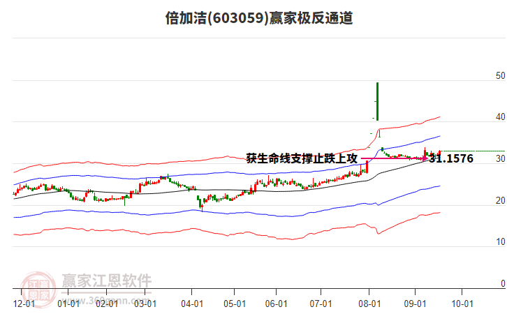 603059倍加潔贏家極反通道工具