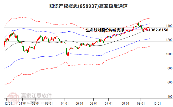 858937知識(shí)產(chǎn)權(quán)贏家極反通道工具