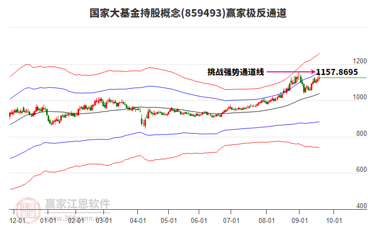 859493國(guó)家大基金持股贏家極反通道工具
