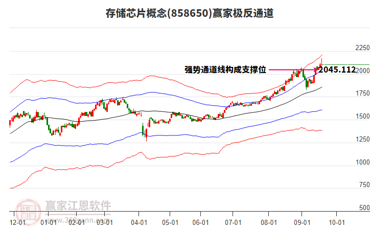 858650存儲(chǔ)芯片贏家極反通道工具