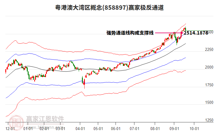 858897粵港澳大灣區(qū)贏家極反通道工具