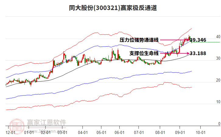 300321同大股份贏家極反通道工具 300321同大股份贏家極反通道工具