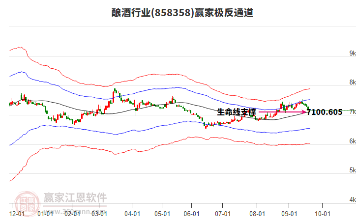 858358釀酒贏家極反通道工具 858358釀酒贏家極反通道工具