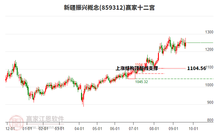 859312新疆振興贏家十二宮工具
